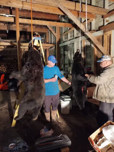 Bergland Bay Bar - Bergland,