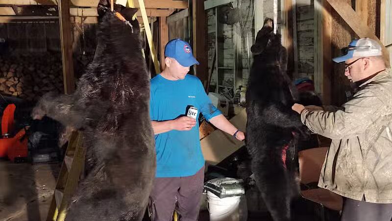 Bergland Bay Bar - Bergland,