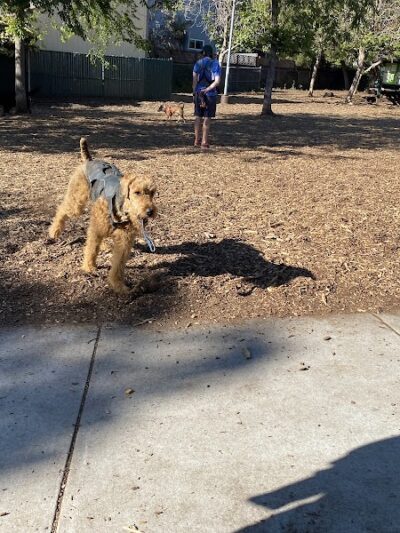 Ohlone Dog Park - Berkeley, CA