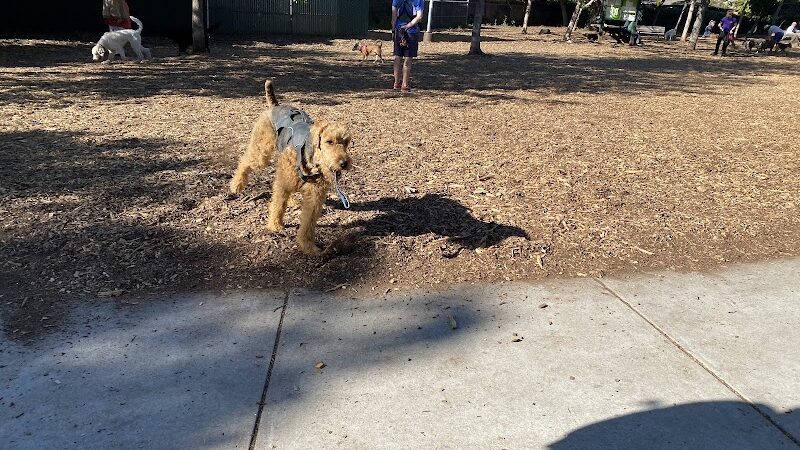 Ohlone Dog Park - Berkeley, CA