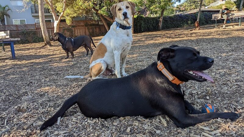 Ohlone Dog Park - Berkeley, CA