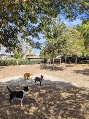 Ohlone Dog Park - Berkeley, CA