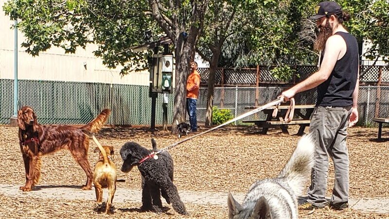 Ohlone Dog Park - Berkeley, CA