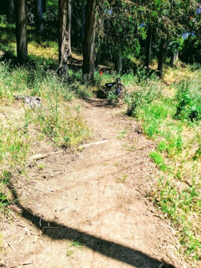 Sourgrass Path - Berkeley, CA