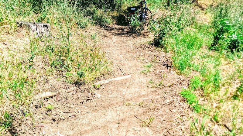 Sourgrass Path - Berkeley, CA