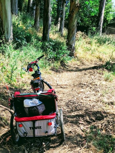 Sourgrass Path - Berkeley, CA