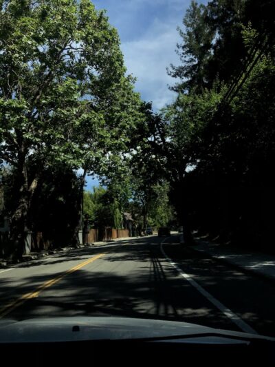 Sourgrass Path - Berkeley, CA