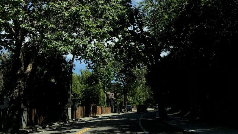 Sourgrass Path - Berkeley, CA