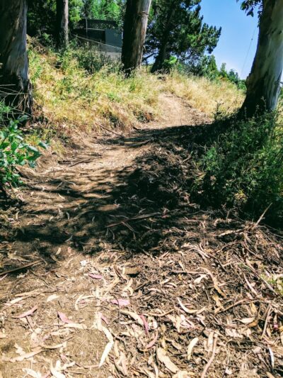 Sourgrass Path - Berkeley, CA