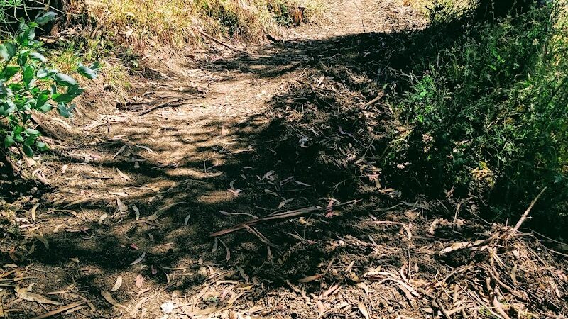 Sourgrass Path - Berkeley, CA
