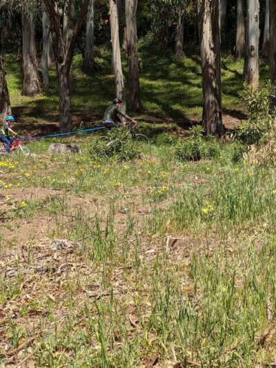 Sourgrass Path - Berkeley, CA
