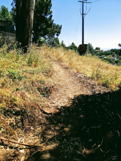 Sourgrass Path - Berkeley, CA