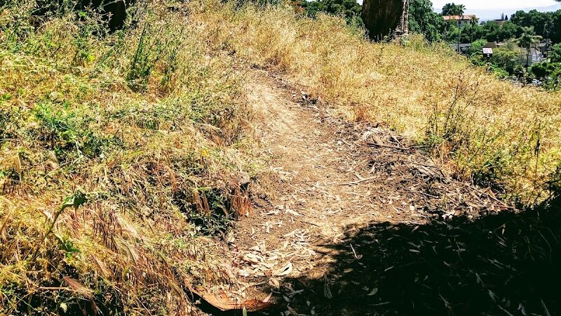 Sourgrass Path - Berkeley, CA