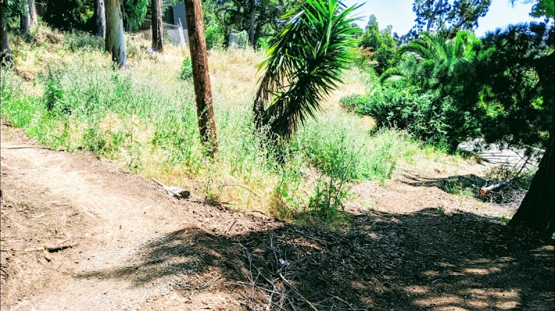 Sourgrass Path - Berkeley, CA
