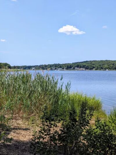 Dighton Rock State Park - Berkley, MA