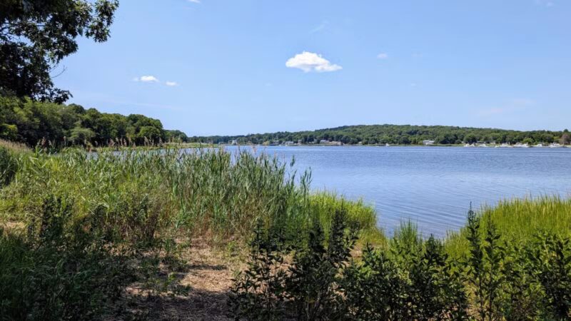 Dighton Rock State Park - Berkley, MA