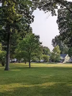 Bacon Park - Berkley,