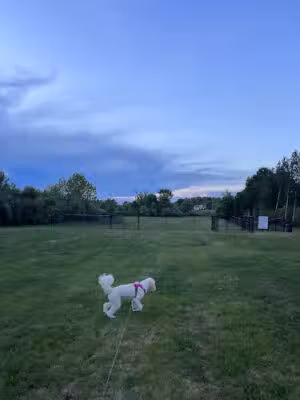 Berlin Dog Park (Leash Free Area) - Berlin, CT