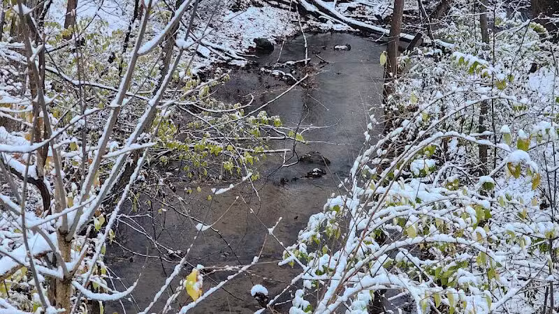 Berrien Township Range Line Park - Berrien Springs,