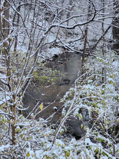 Berrien Township Range Line Park - Berrien Springs,