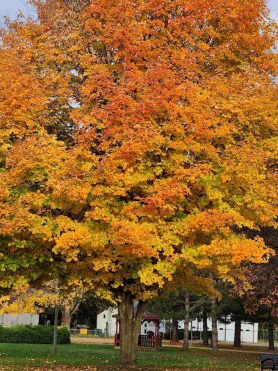 Berrien Township Range Line Park - Berrien Springs,