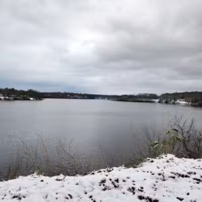 Wolf's Prairie Park - Berrien Springs,