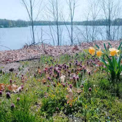 Wolf's Prairie Park - Berrien Springs,