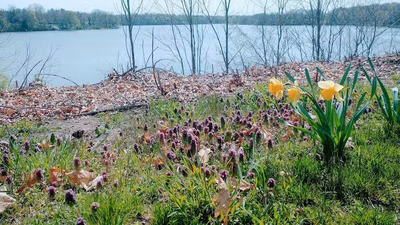 Wolf's Prairie Park - Berrien Springs,