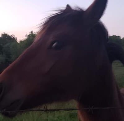 Riverside Park - Bethany, OK