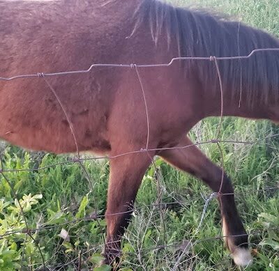 Riverside Park - Bethany, OK