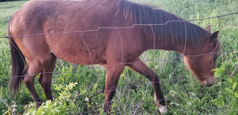 Riverside Park - Bethany, OK