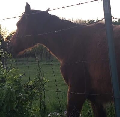 Riverside Park - Bethany, OK