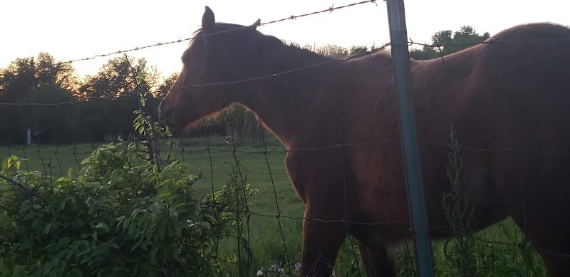 Riverside Park - Bethany, OK