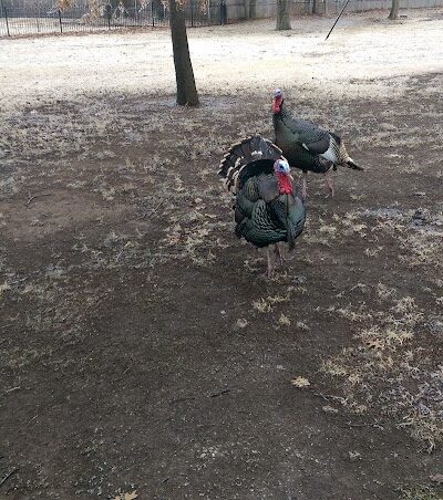 Riverside Park - Bethany, OK