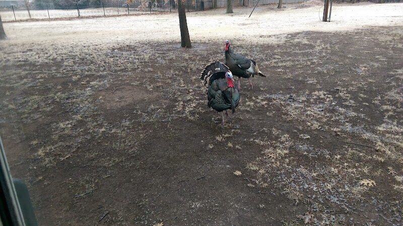 Riverside Park - Bethany, OK