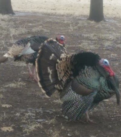 Riverside Park - Bethany, OK