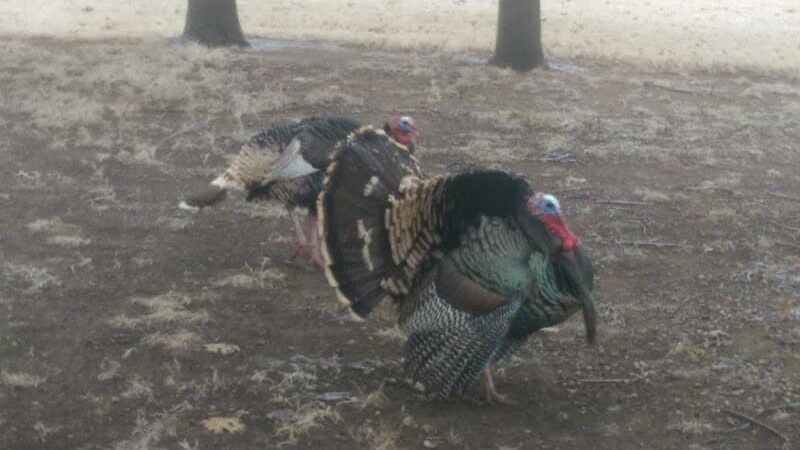 Riverside Park - Bethany, OK