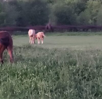 Riverside Park - Bethany, OK