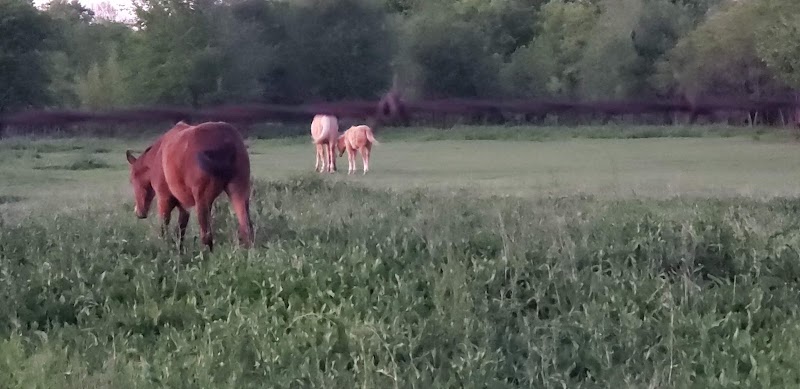 Riverside Park - Bethany, OK