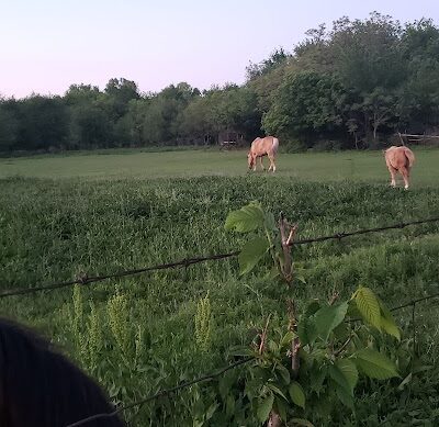 Riverside Park - Bethany, OK