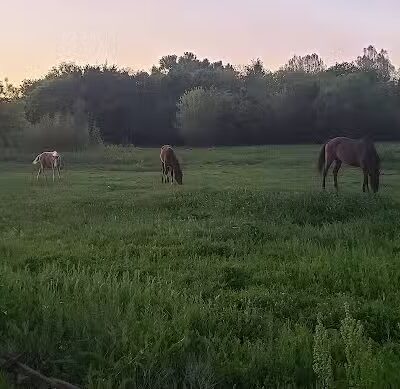 Riverside Park - Bethany, OK