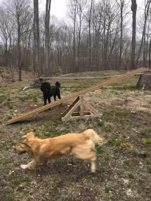 Downback Dog Park ( Members only by appointment! ) - Bethlehem, CT