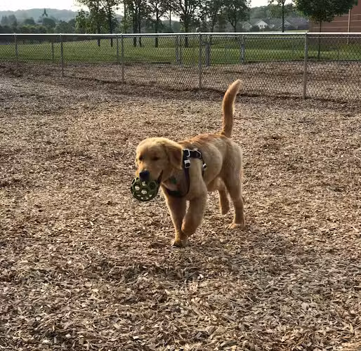 Hanover Township Dog Park - Bethlehem, PA