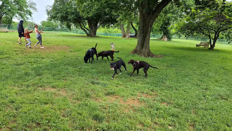 Monocacy park-off leash recreation area - Bethlehem, PA