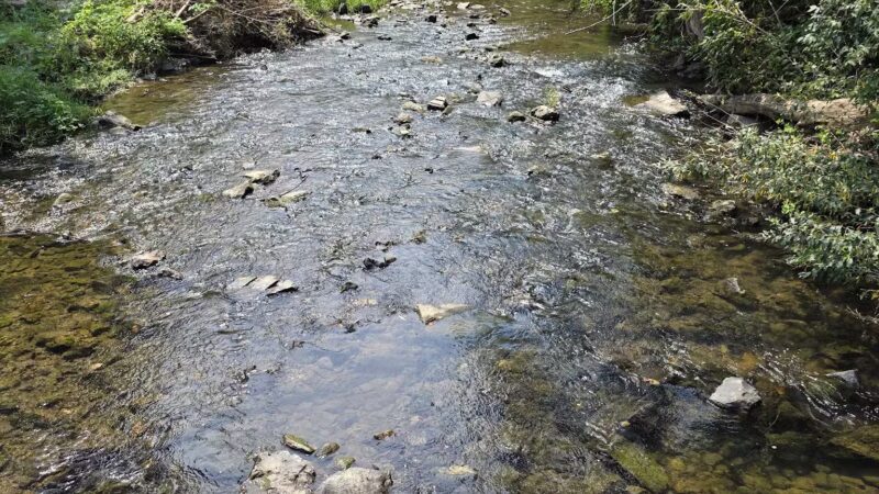 Crow Creek Dog Park - Bettendorf, IA