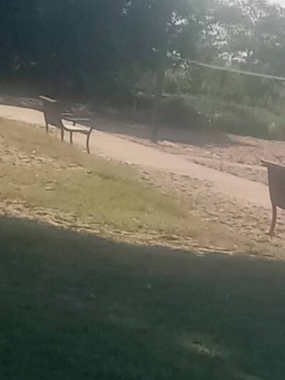 Kent County Parks and Recreation, Betterton Beach - Betterton, MD