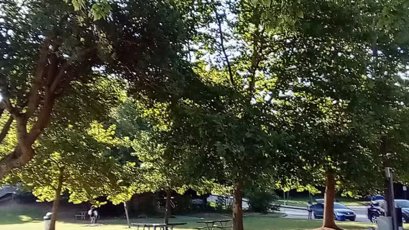 Kent County Parks and Recreation, Betterton Beach - Betterton, MD