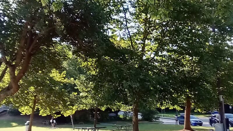 Kent County Parks and Recreation, Betterton Beach - Betterton, MD