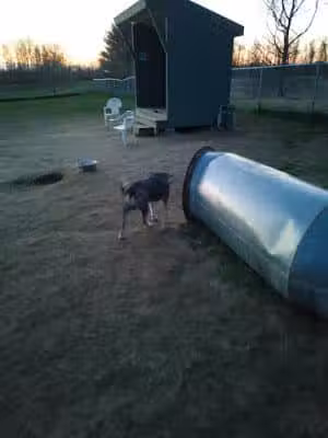 Biddeford Dog Park at Rotary Park - Biddeford, ME