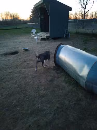 Biddeford Dog Park at Rotary Park - Biddeford, ME